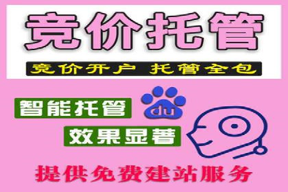 百度SEM广告投放的五大成功案例分享